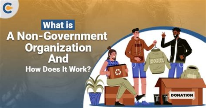 What is a non government organization and what does it have to do with government?