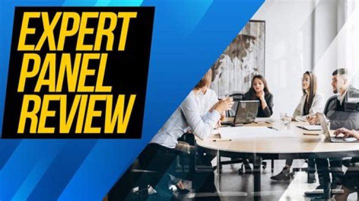 What is a panel in research?
