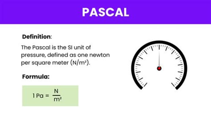 What is a pasal?