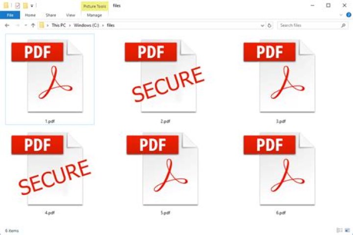 What is a PDF v1 file?