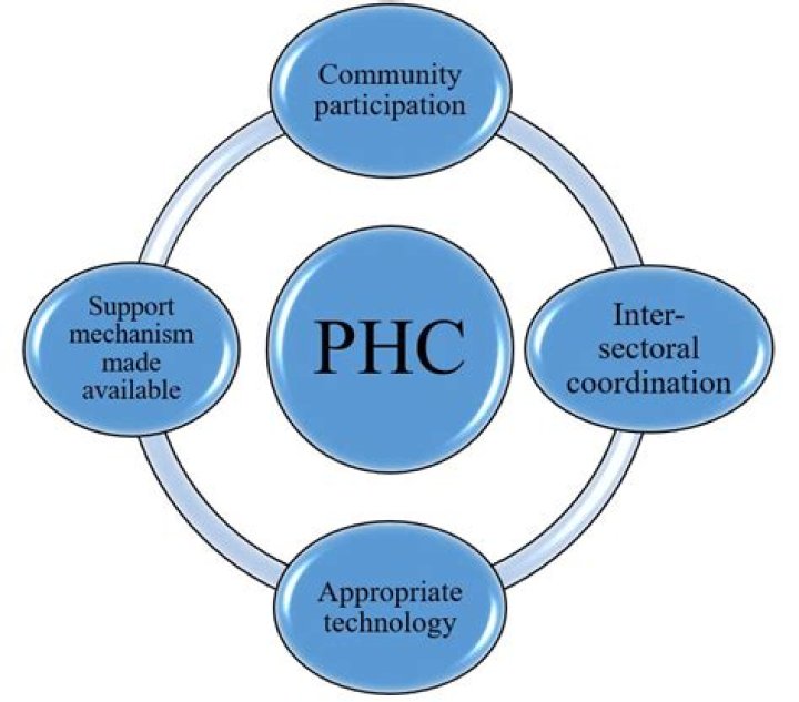 What is a PHC provider?