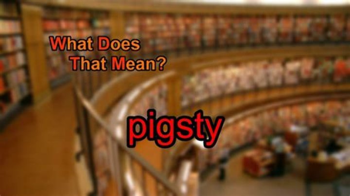 What is a pigsty mean?