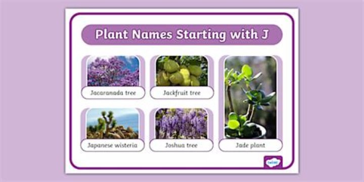 What is a plant that starts with J?