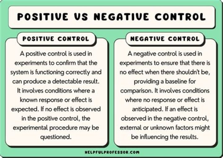 What is a positive control example?