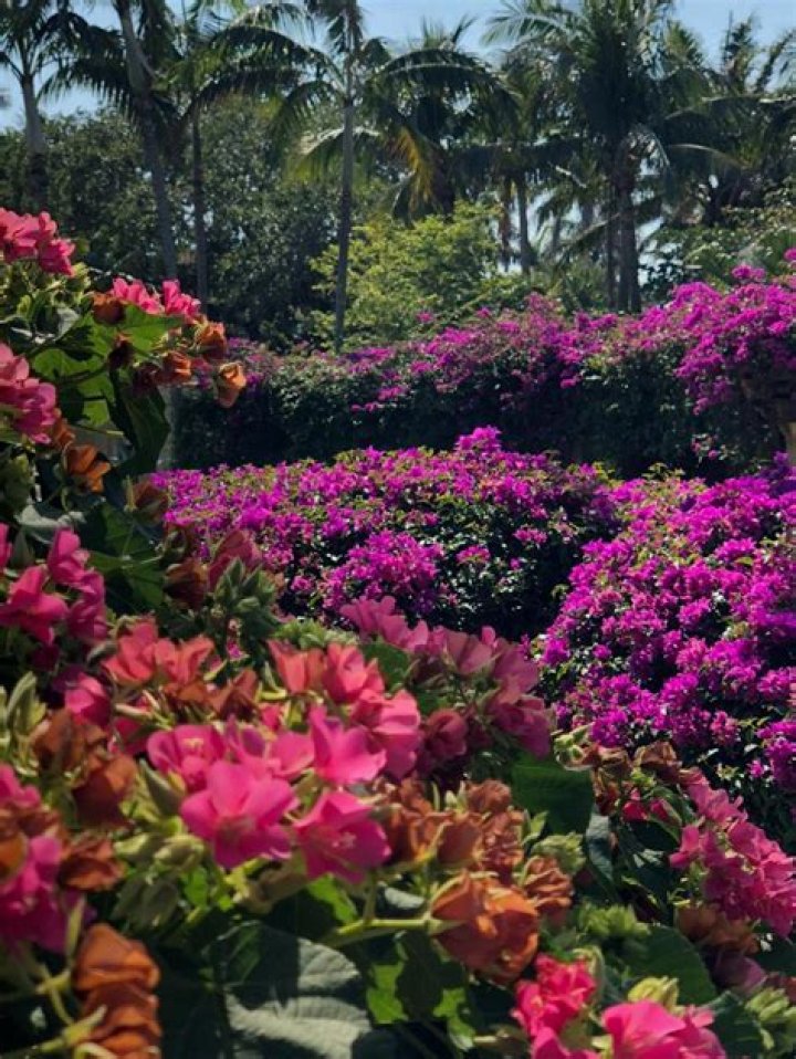 What is a private garden?