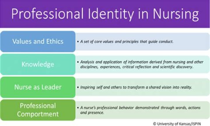 What is a professional association for nursing?
