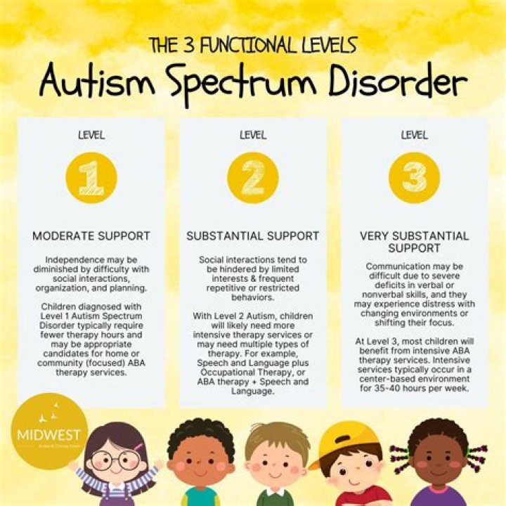 What is a provisional autism diagnosis?