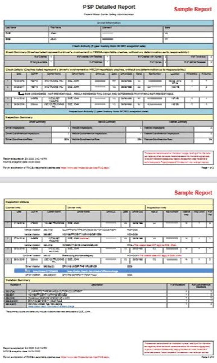 What is a PSP detailed report?