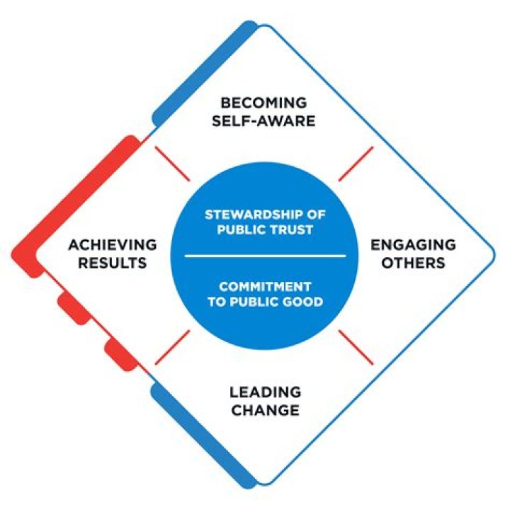 What is a public leader?