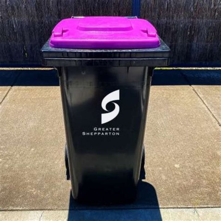 What is a purple bin?