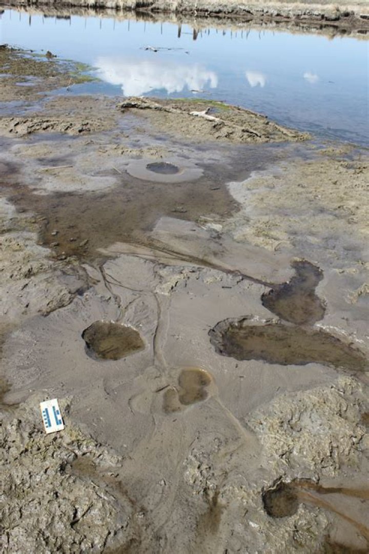 What is a sand boil that results from an earthquake?