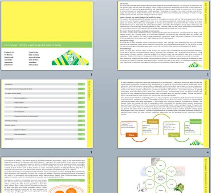 What is a schematic report in communication skills?