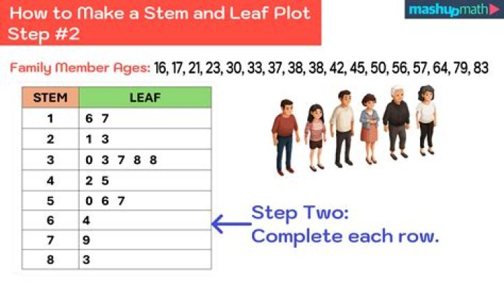 What is a stem scope?