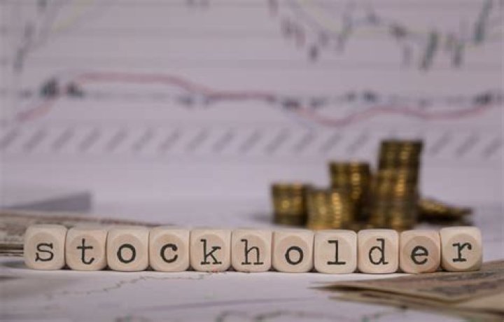 What is a stockholder in business?