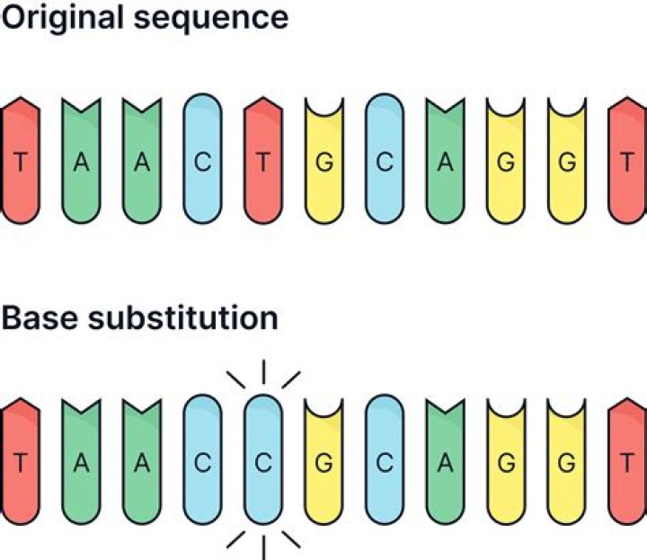 What is a substitution mutation quizlet?