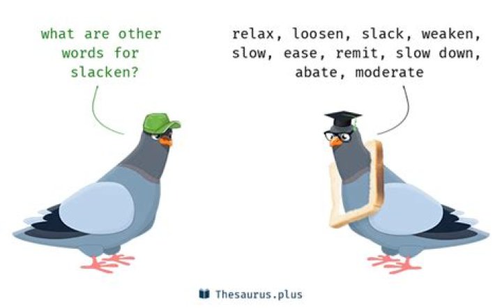 What is a synonym for slacken?