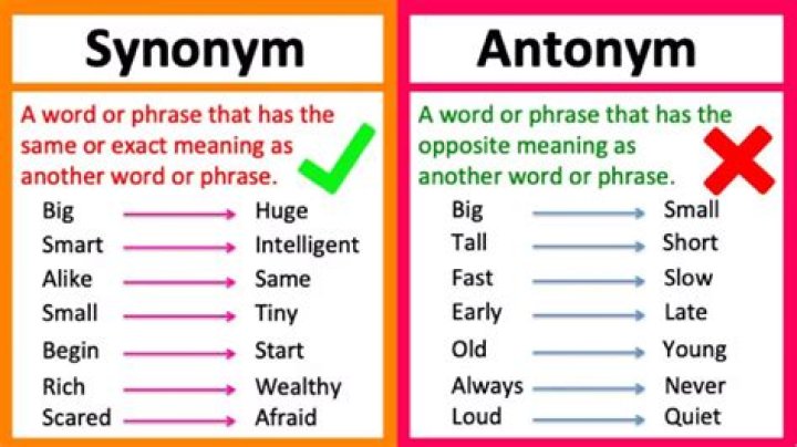 What is a synonym for turnip?