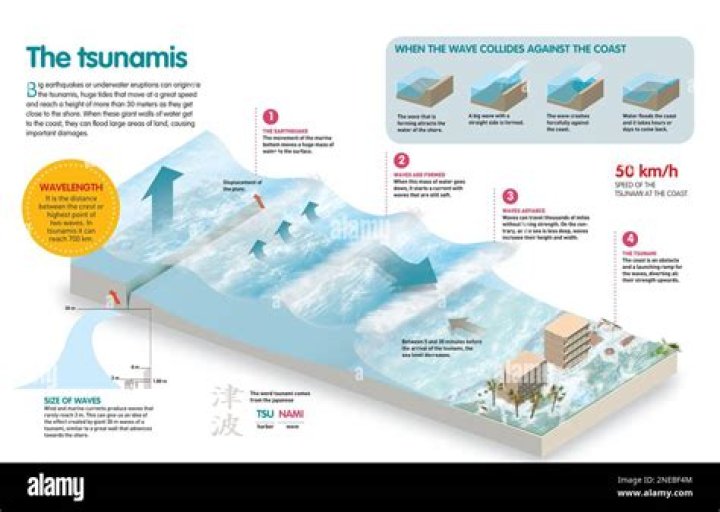 What is a tsunami in science?