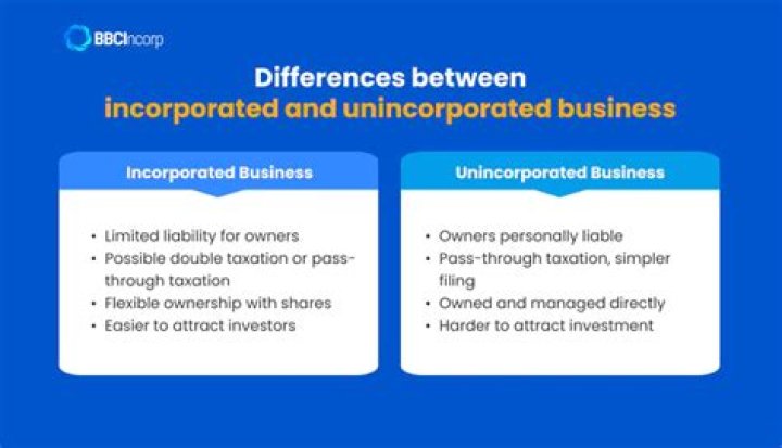 What is a unincorporated business example?