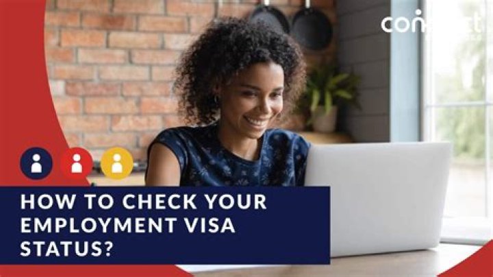 What is a visa status for employment?