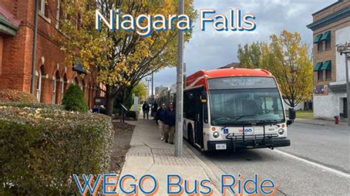 What is a WEGO bus?