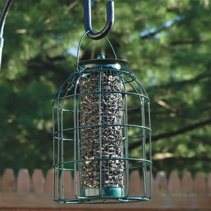 What is a wire bird feeder?