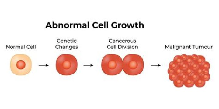 What is abnormal cell growth called?