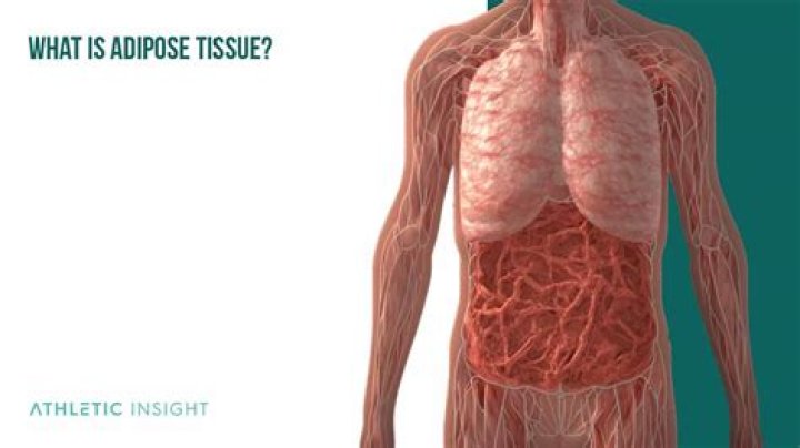 What is adipose tissue Pubmed?