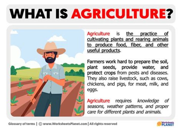 What is Agriculture Act?