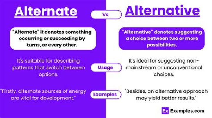 What is alternative example?