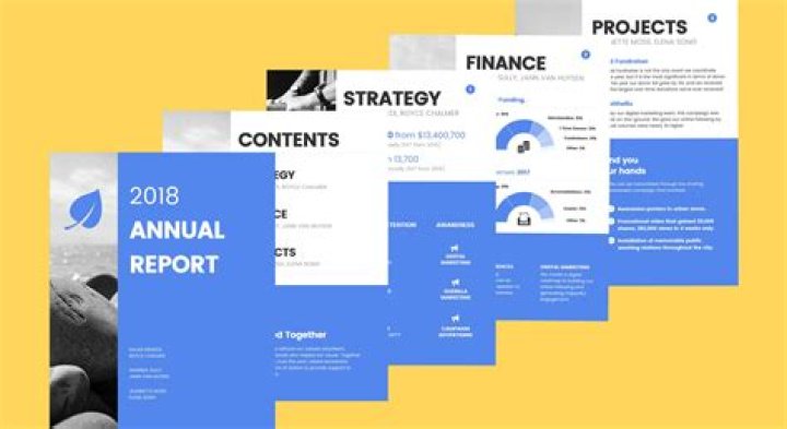 What is an annual report quizlet?