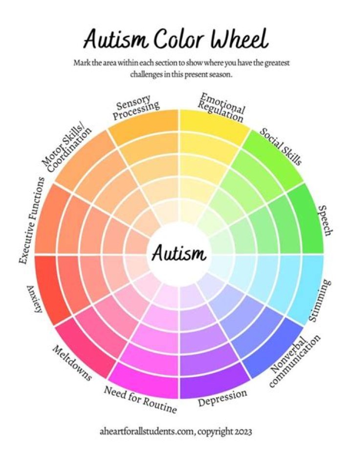 What is an autism aide?
