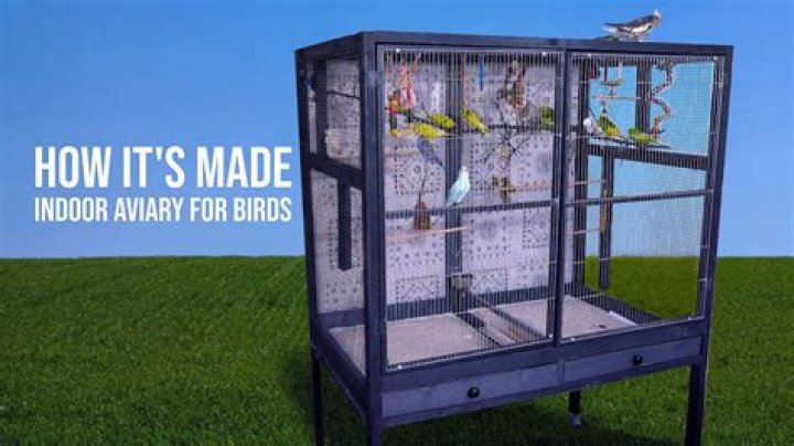 What is an aviary bird cage?