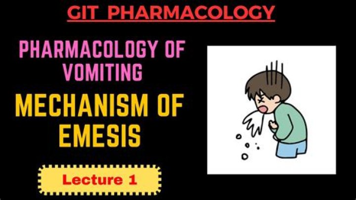 What is an emesis?