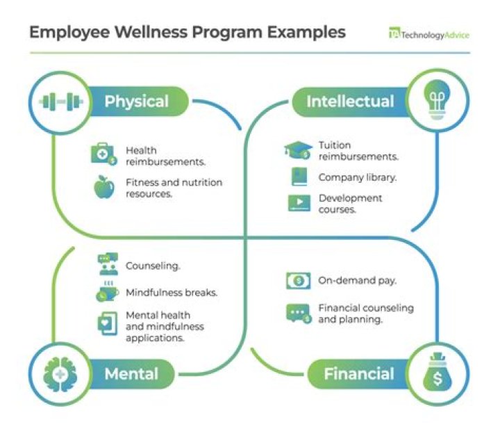 What is an employee wellness Programme?