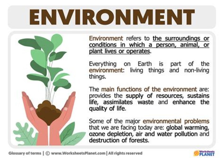 What is an environment PPT?
