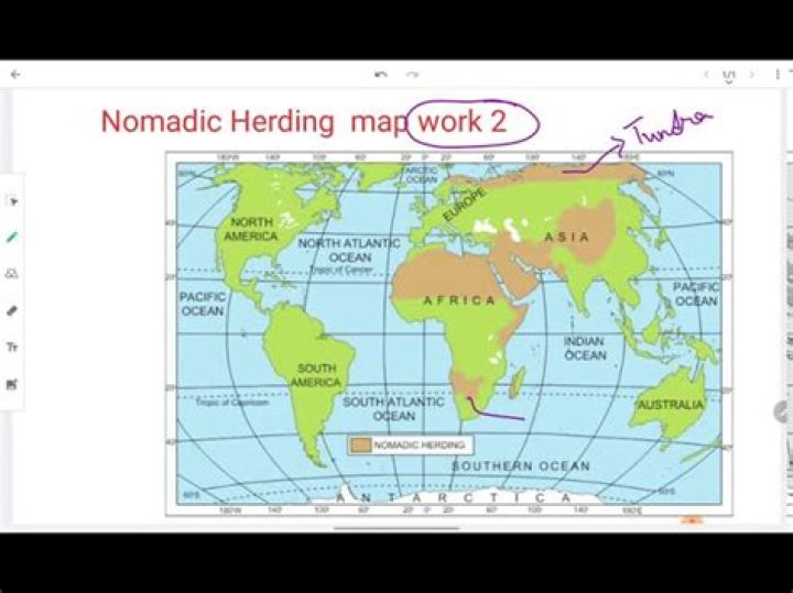What is an example of nomadic herding?