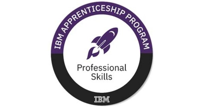 What is an IBM apprenticeship program?
