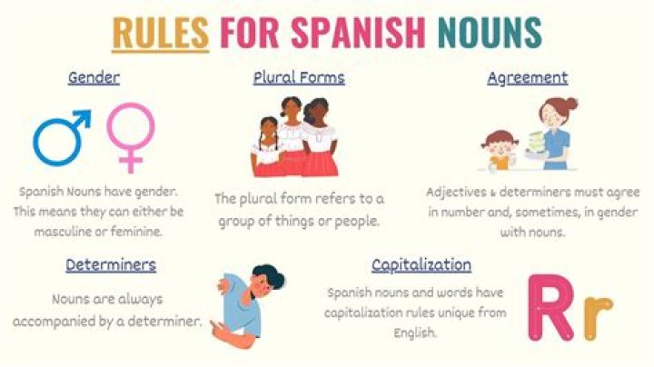 What is an ONG Spanish?