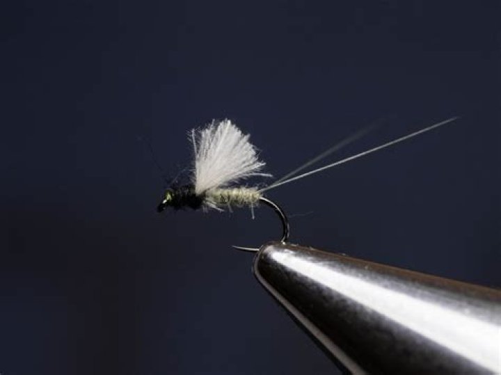 What is an rs2 fly?