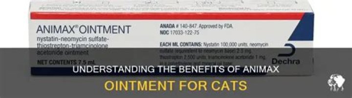 What is Animax ointment used for in cats?