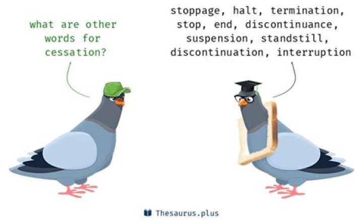 What is another word for cessation?