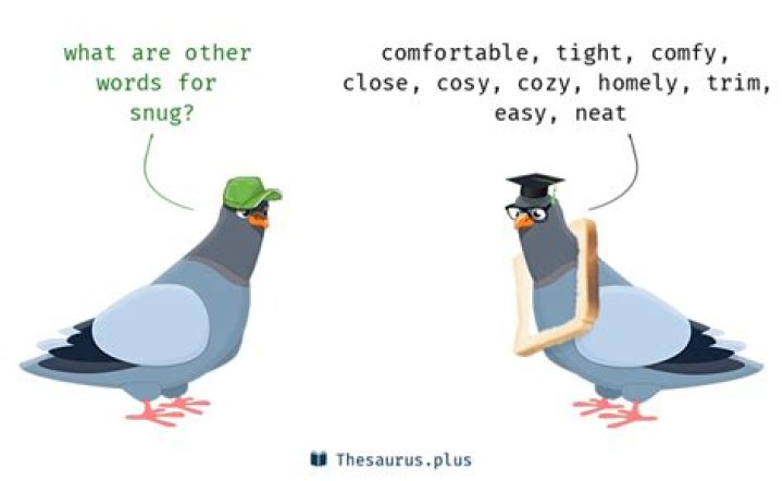What is another word for snug?