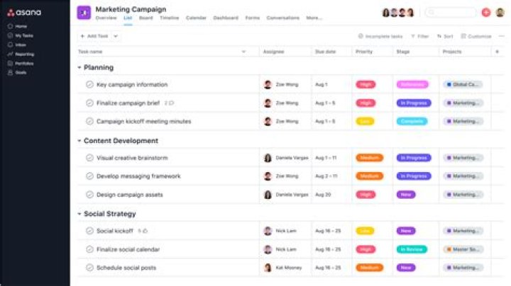 What is asana system?