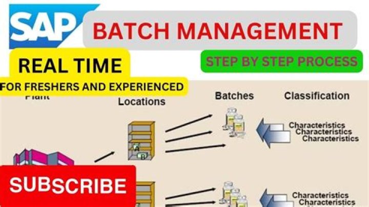 What is batch material SAP?