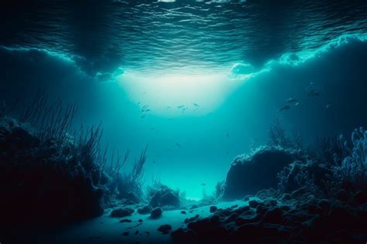 What is below the surface of the ocean?