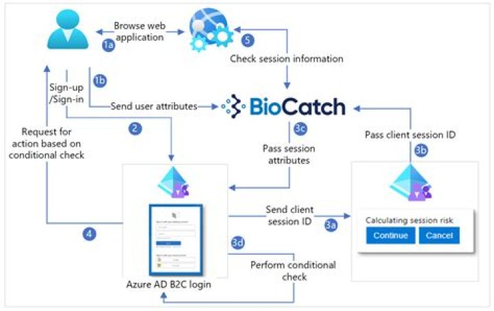 What is BioCatch?