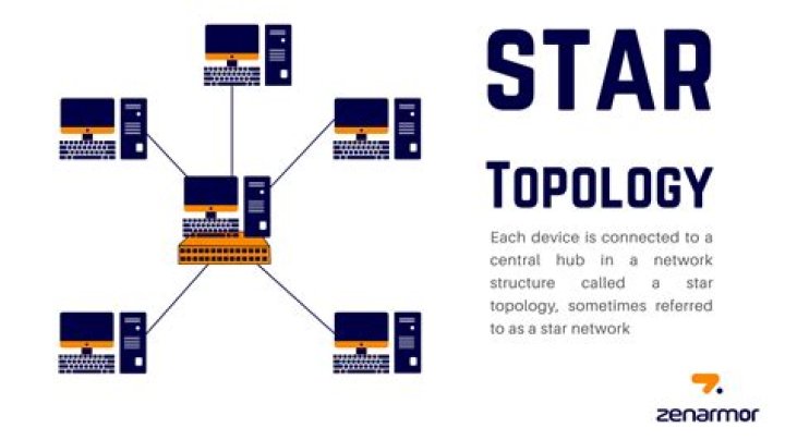 What is bus and star topology?