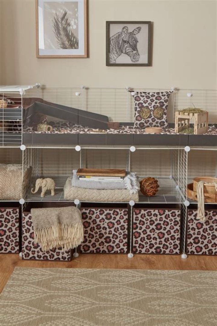 What is C&C cage?