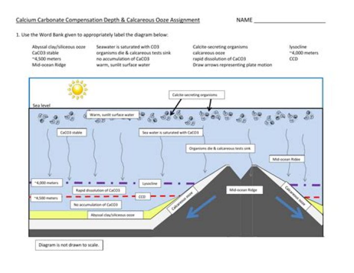 What is calcium compensation depth?